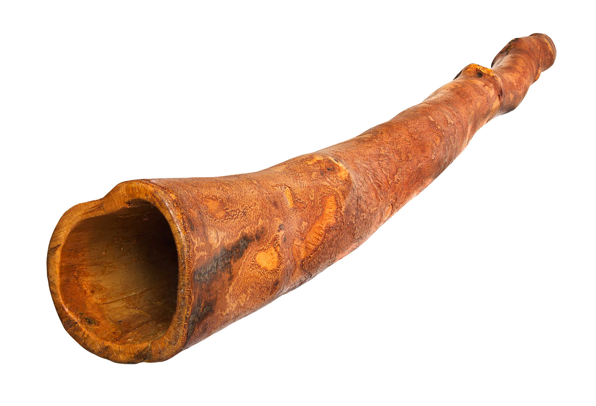 Didgeridoo Optimized 